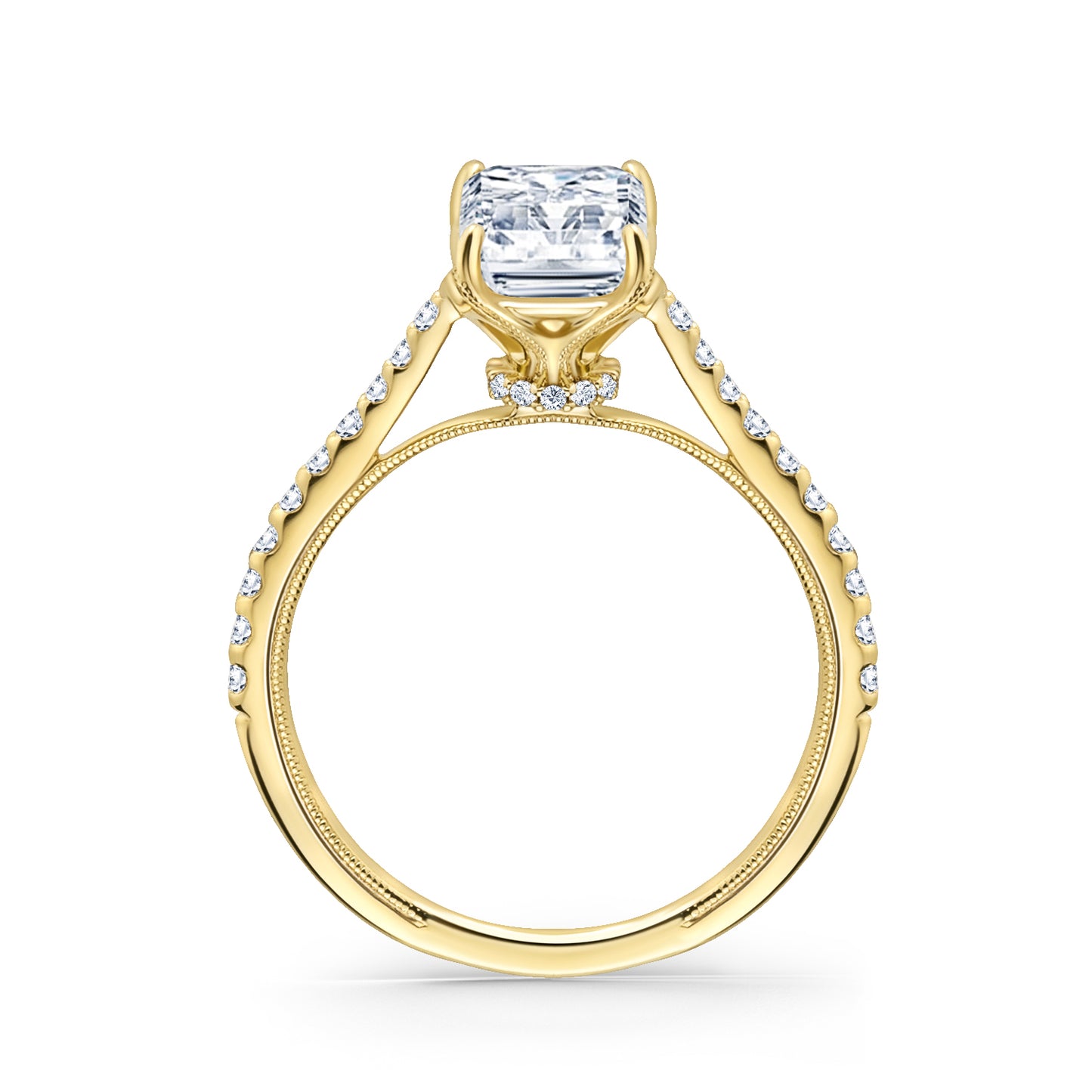 Cathedral Hidden Halo Solitaire Diamond Engagement Ring