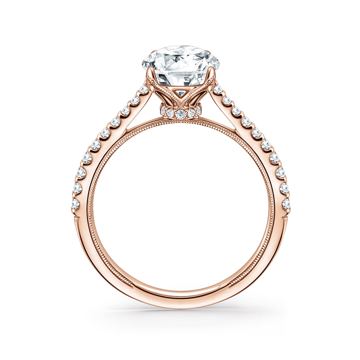 Cathedral Hidden Halo Solitaire Diamond Engagement Ring