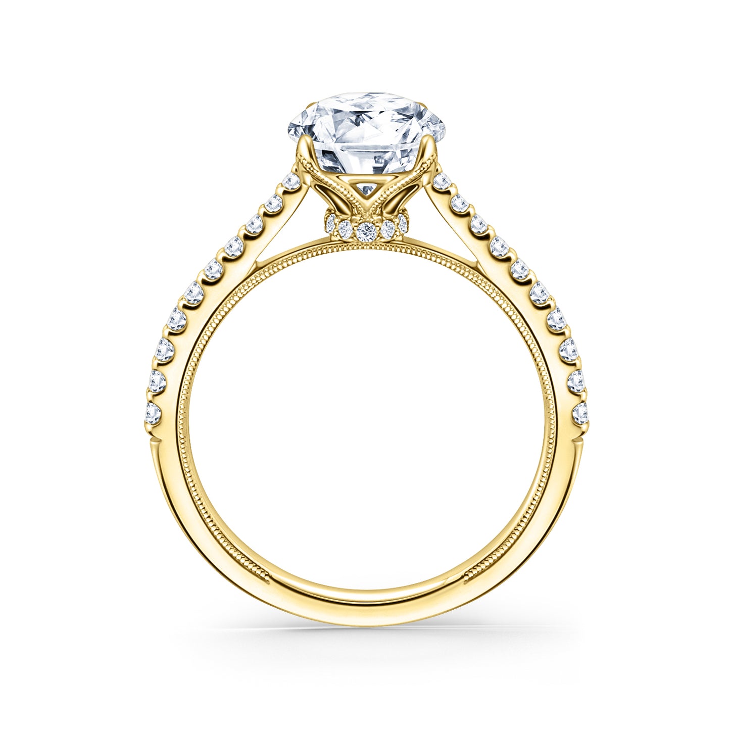 Cathedral Hidden Halo Solitaire Diamond Engagement Ring
