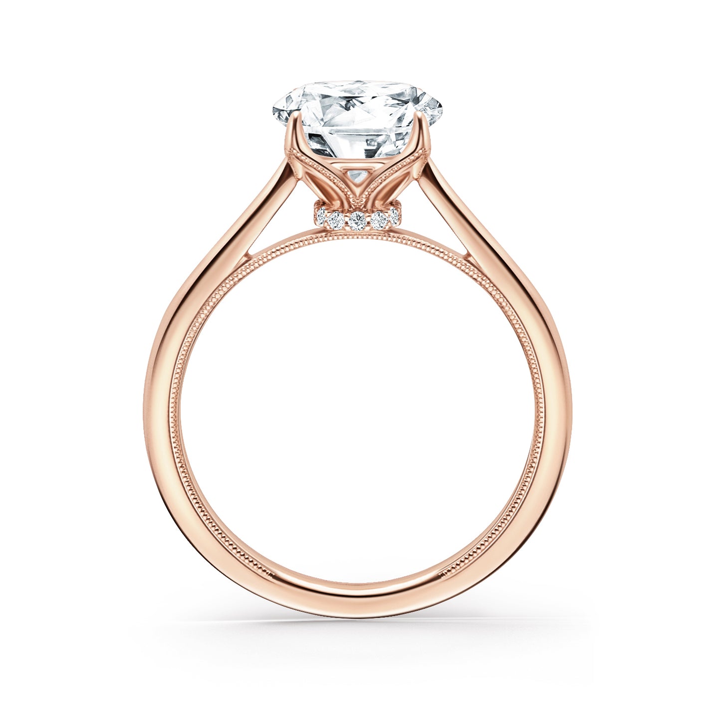 Cathedral Hidden Halo Solitaire Engagement Ring