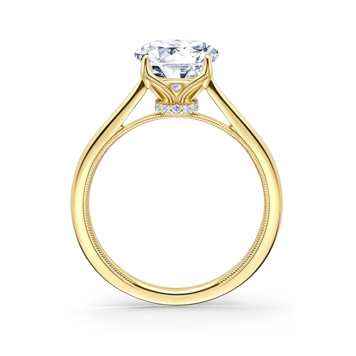Cathedral Hidden Halo Solitaire Engagement Ring
