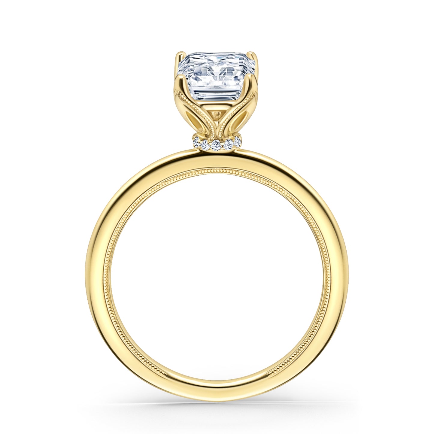 Hidden Halo Solitaire Engagement Ring