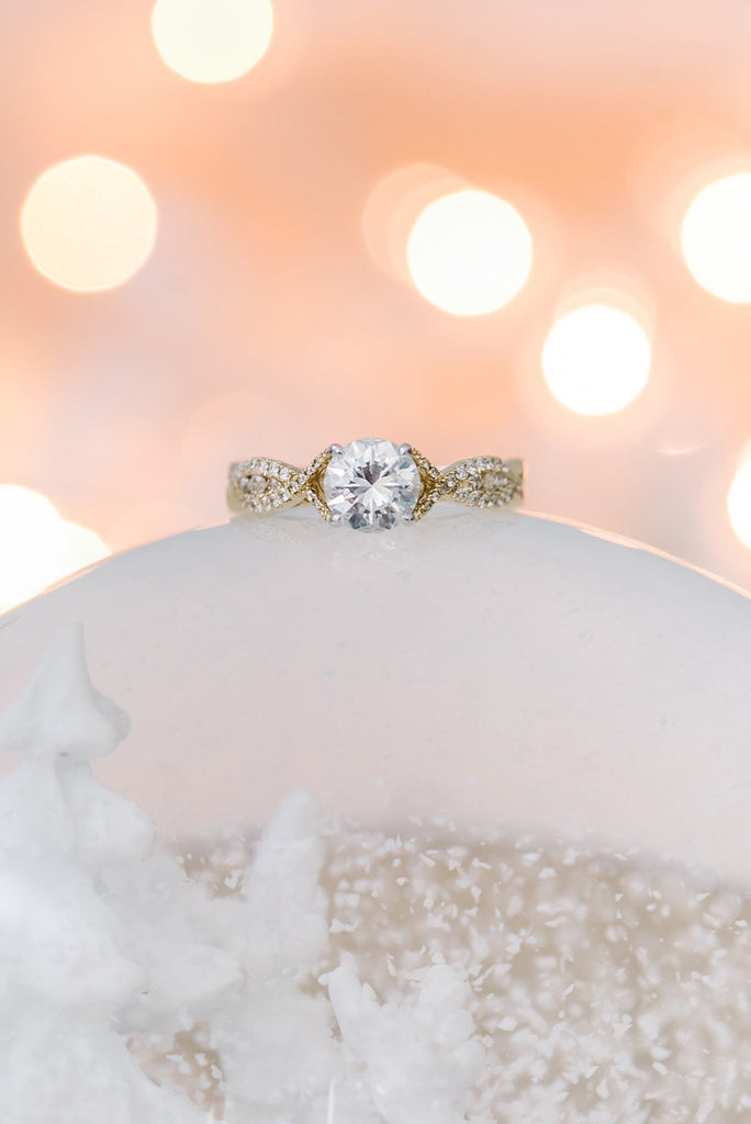 Winter Wonderland Proposals