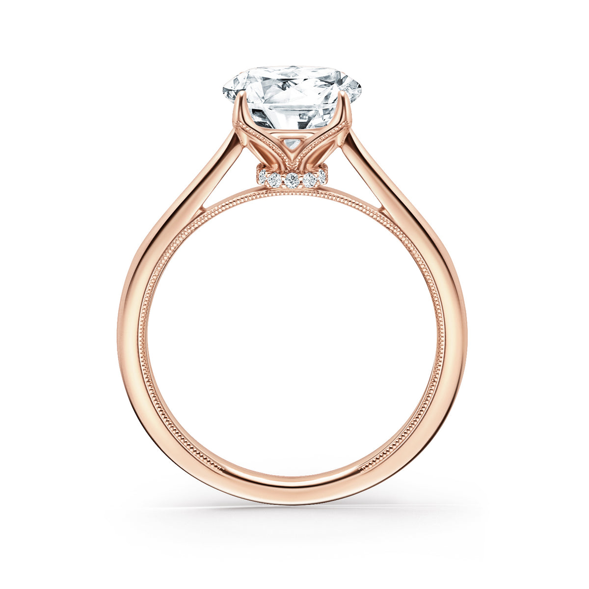 Cathedral Hidden Halo Solitaire Engagement Ring