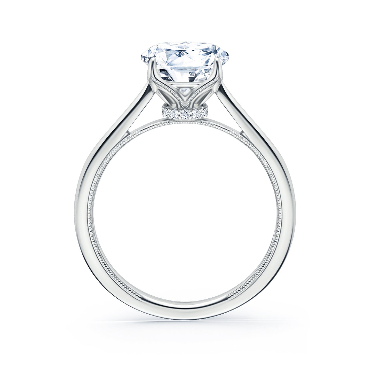 Cathedral Hidden Halo Solitaire Engagement Ring