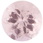 Delicate Floral