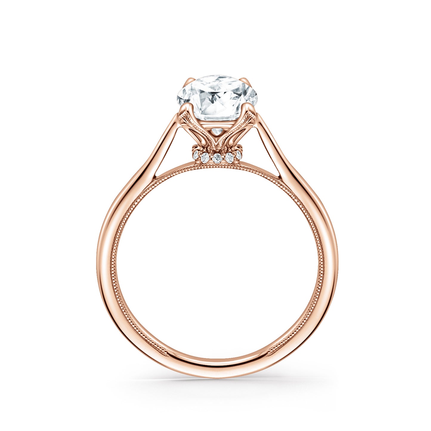 Cathedral Hidden Halo Solitaire Engagement Ring