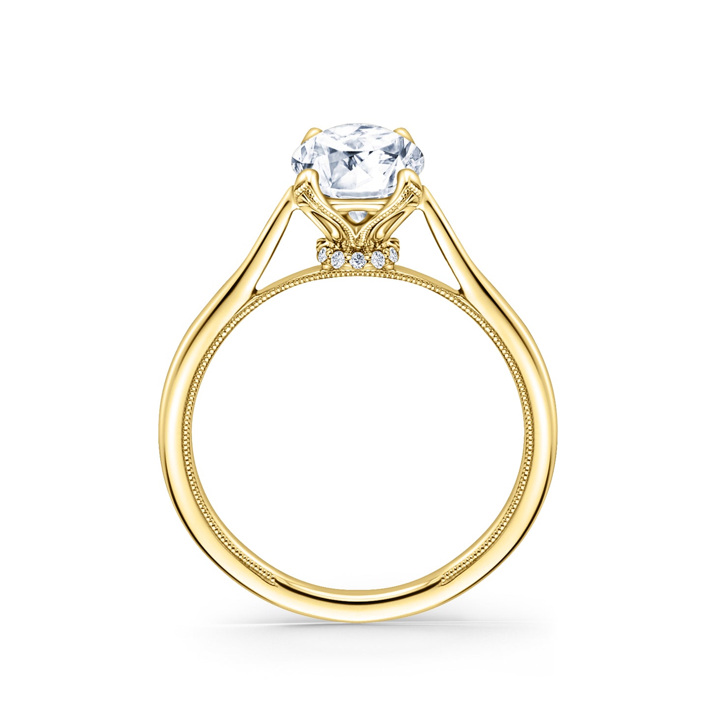 Cathedral Hidden Halo Solitaire Engagement Ring