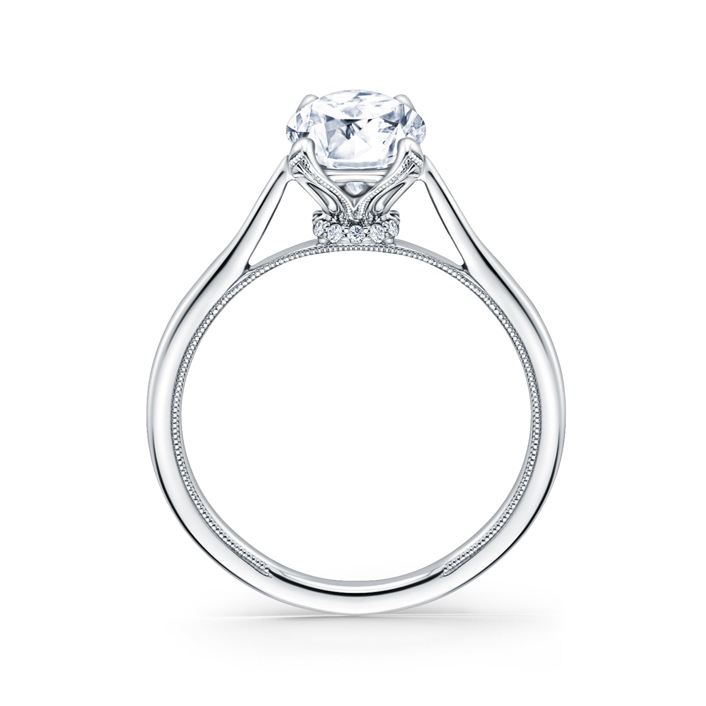 Cathedral Hidden Halo Solitaire Engagement Ring